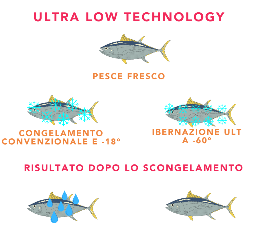 ULTRA LOW TECHNOLOGY (2)